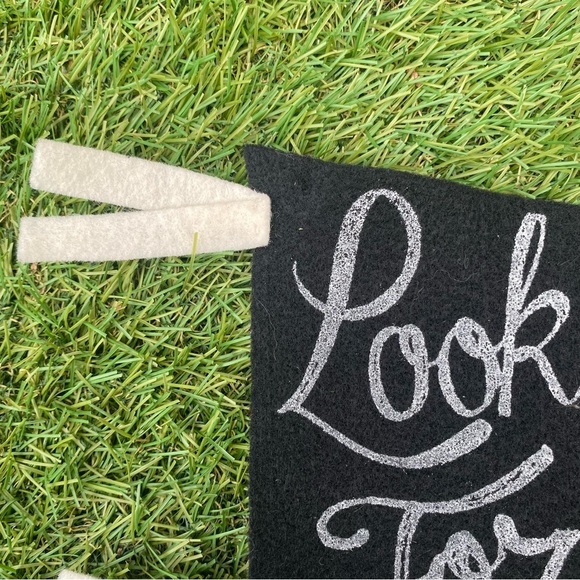 LOOKING FOR REVENGE PENNANT #FML130055 - Picture 4 of 4